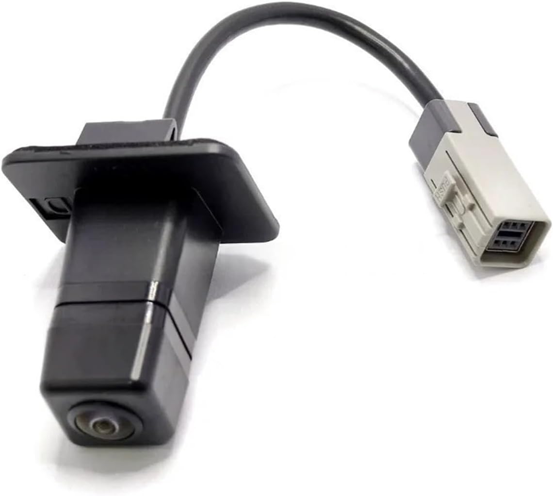 掛軸-985 西村卓三 静物 共箱 掛軸-985 西村卓三 静物 共箱